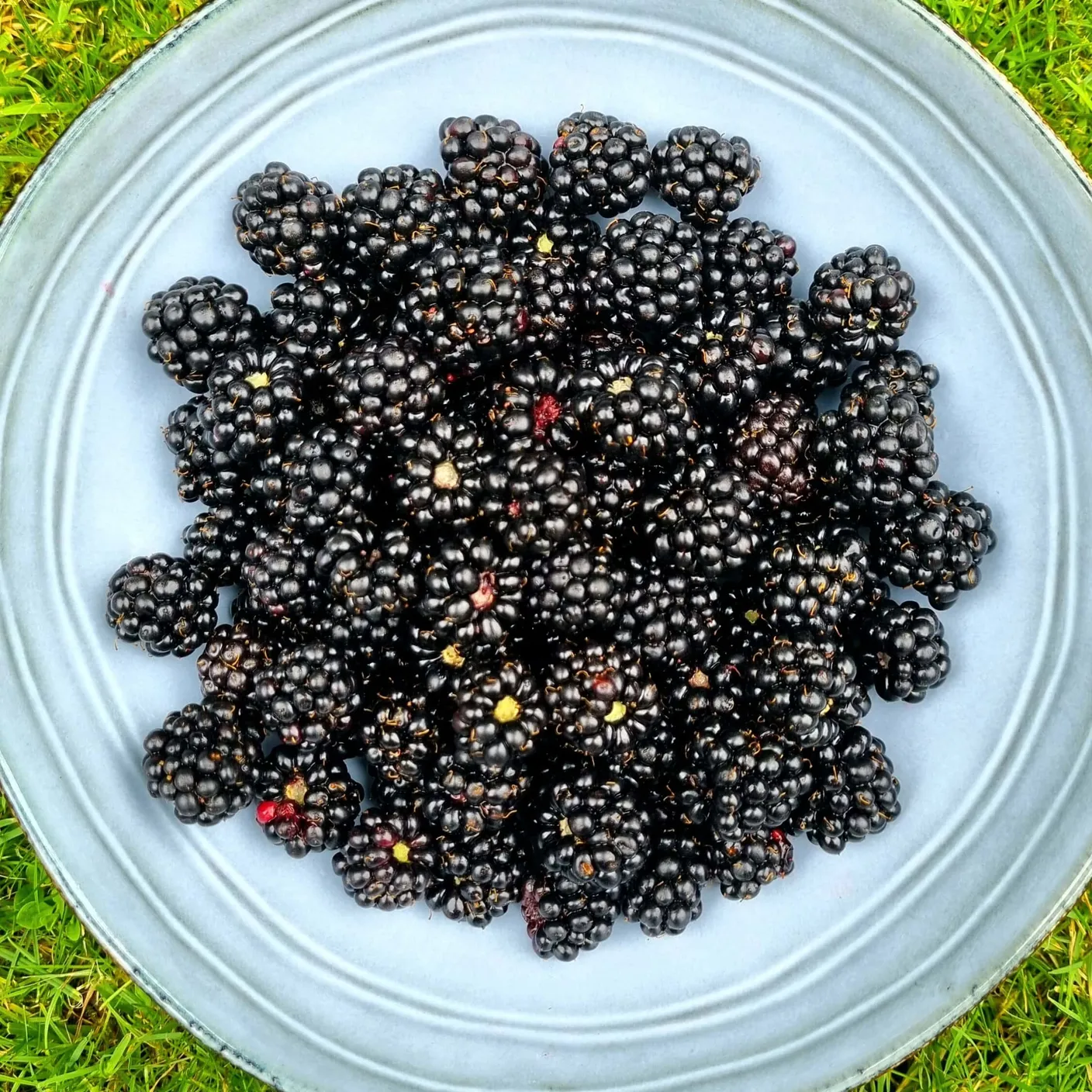 Cover for 3 recepten: kruiden in je water als smaakmaker