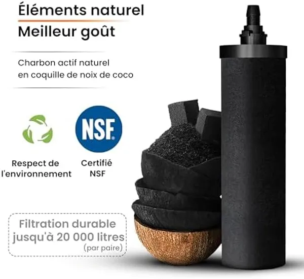 Phoenix Gravity 8L koolstoffilter elementen